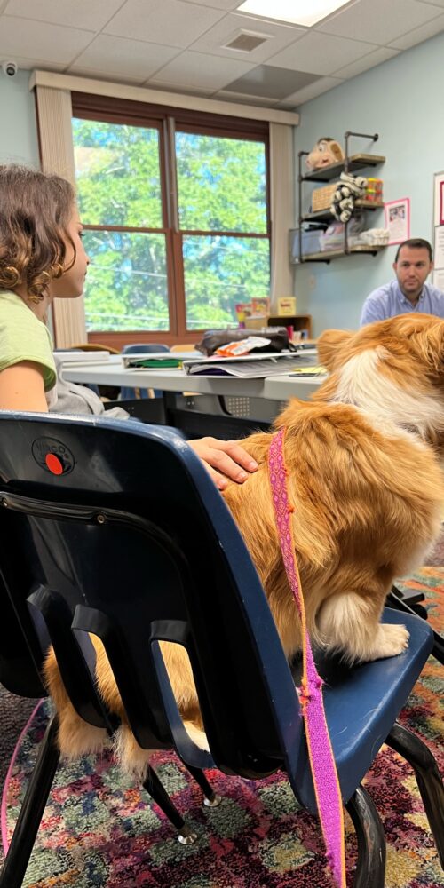 dog-sitting-with-student-in-class-helping-teach