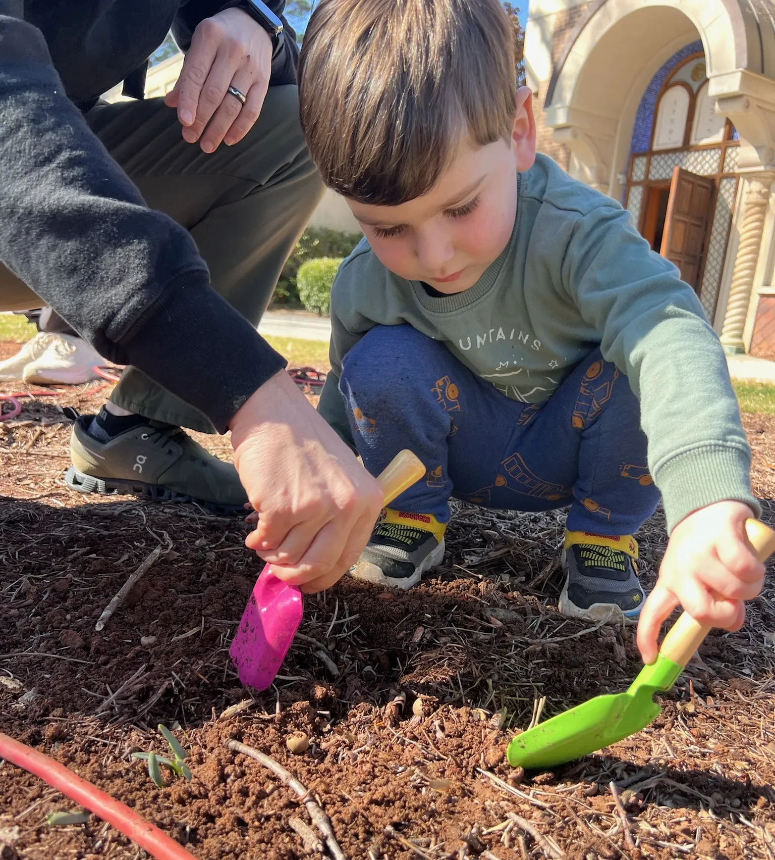 Blooming Futures: Tu B’Shvat Daffodil Project