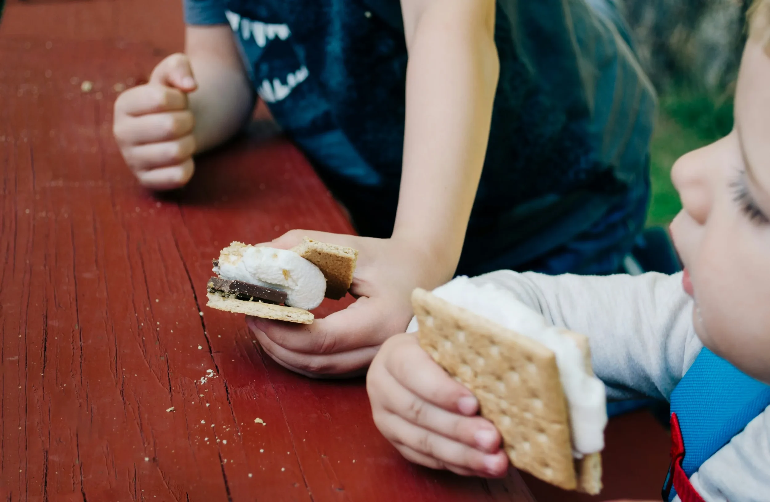 PJ Library S’more Stories