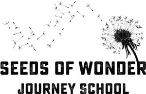 seeds-of-wonder-journey-school-logo